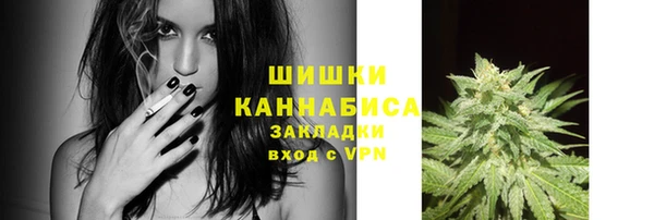 гашик Сафоново