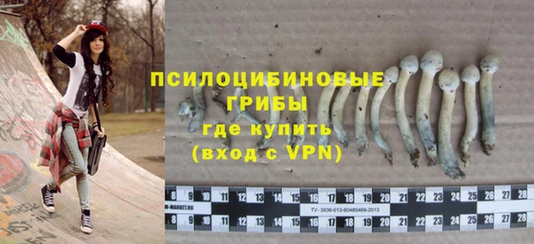 сатива Арсеньев