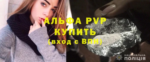 сатива Арсеньев