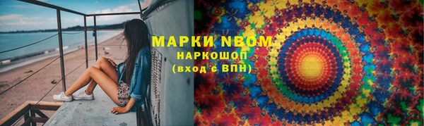 сатива Арсеньев